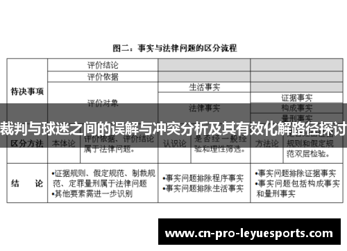 裁判与球迷之间的误解与冲突分析及其有效化解路径探讨