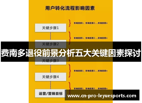 费南多退役前景分析五大关键因素探讨