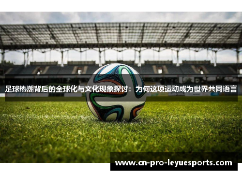 足球热潮背后的全球化与文化现象探讨：为何这项运动成为世界共同语言