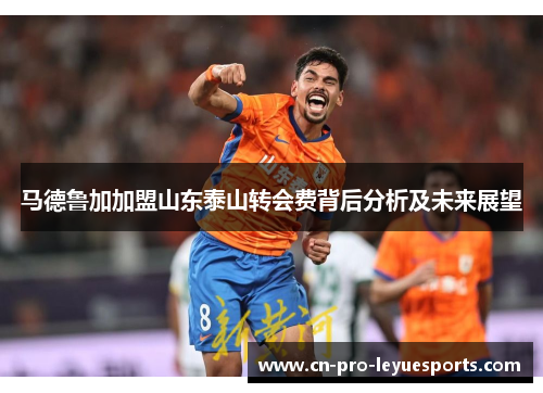 马德鲁加加盟山东泰山转会费背后分析及未来展望
