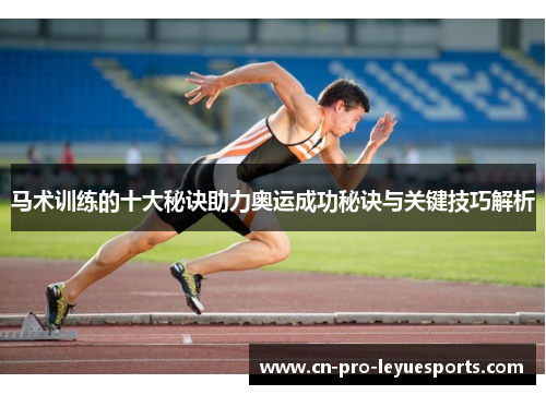 马术训练的十大秘诀助力奥运成功秘诀与关键技巧解析