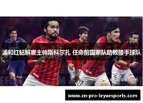 浦和红钻解雇主帅斯科尔扎 任命前国家队助教接手球队