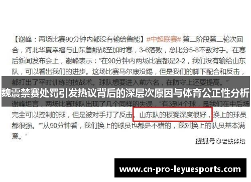 魏震禁赛处罚引发热议背后的深层次原因与体育公正性分析
